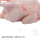 jual ayam frozen terlengkap