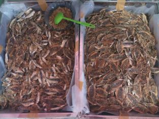 Ikan asin kere ikan dendeng 1 kg harga 32000