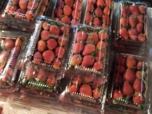 Strawberry per pack harga termurah