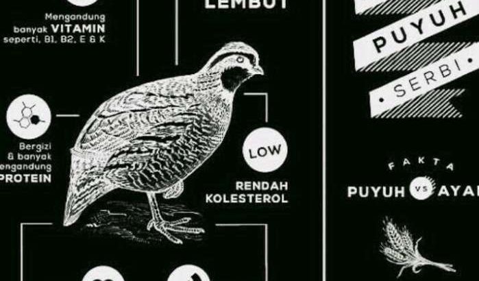 Sedia Berbagai Macam Daging burung puyuh Karkas