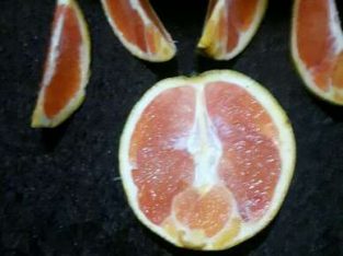 Buah merah atau buah rena atau blood orange