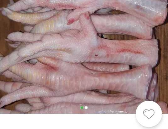 jual ayam frozen terlengkap