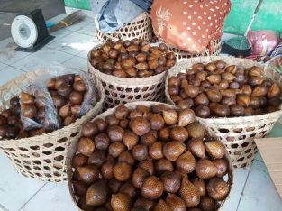 Salak madu salak pondoh