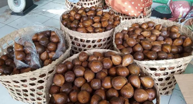 Salak madu salak pondoh