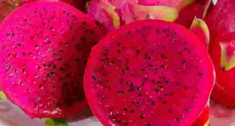 Supplier buah naga Makassar