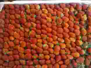 Jual Strawberry murah neriah