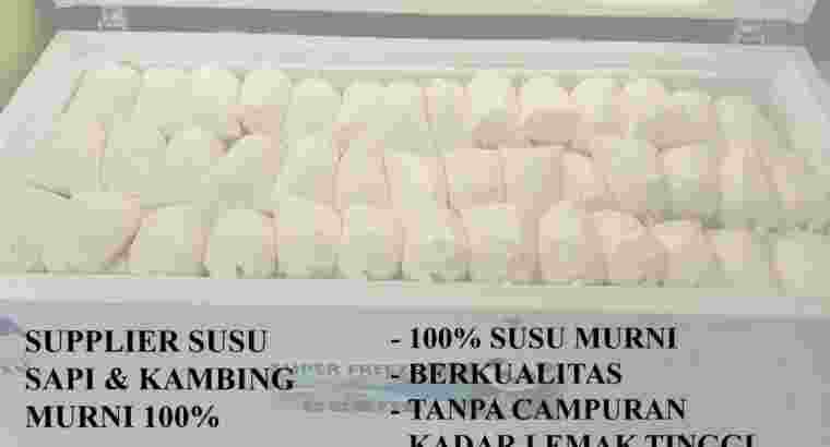 Suplier SUSU SAPI MURNI dan kambing Sidoarjo