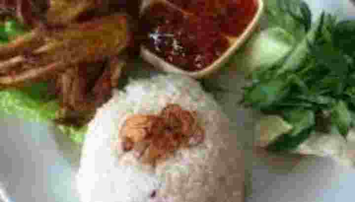 Paket nasi ayam goreng dada