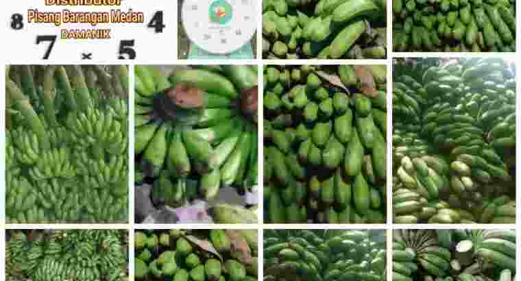 Distributor Pisang Barangan Medan