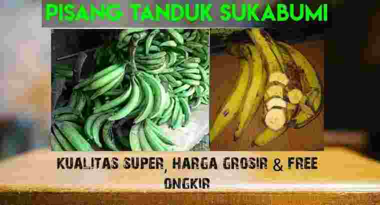 Supplier Pisang tanduk super sukabumi