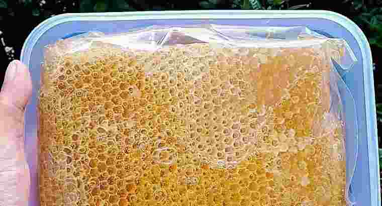 Honey comb alias madu sarang setengah kilo