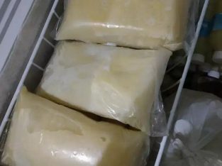 Supplier Susu Sapi Murni dan termurah