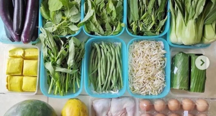 Supplier Sayur Segar, buah dan sembako