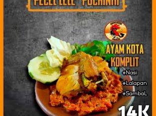 Pecel Lele Pochinki