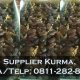 Importir, Grosir Distributor Kurma Yogja