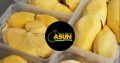 Supplier Agen terbesar Durian montong palu parigi