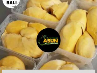 Supplier Agen terbesar Durian montong palu parigi