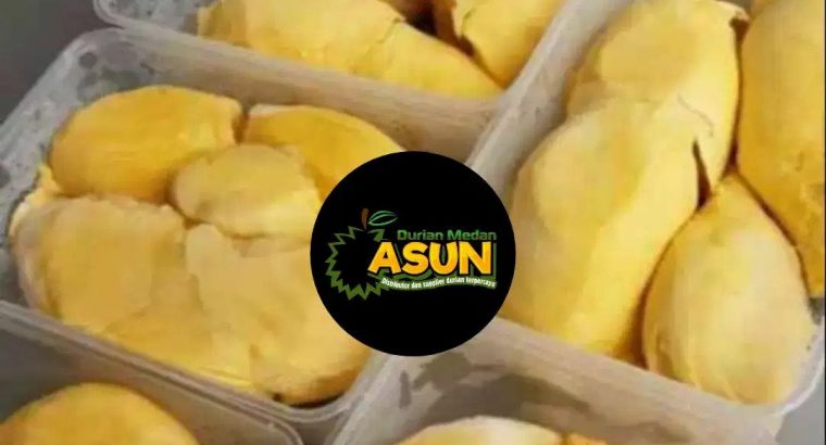 Supplier Agen terbesar Durian montong palu parigi