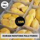 Supplier Agen terbesar Durian montong palu parigi