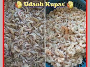 Agen udang kupas Palembang