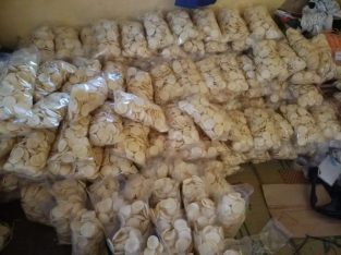 Agen jual kerupuk kemplang tengiri