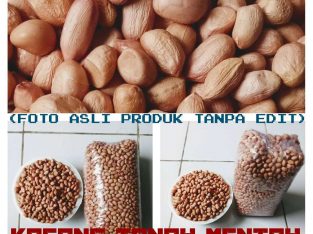 JUAL KACANG TANAH MENTAH PREMIUM SUPER IMPOR INDIA