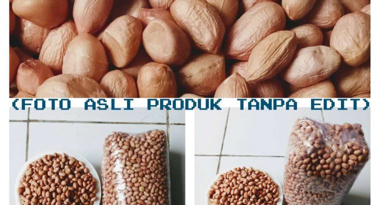 JUAL KACANG TANAH MENTAH PREMIUM SUPER IMPOR INDIA