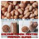 JUAL KACANG TANAH MENTAH PREMIUM SUPER IMPOR INDIA