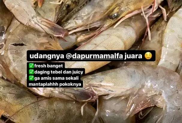 JUAL UDANG VANAME FRESH