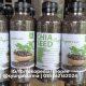 Jual Black Chia seed Organic