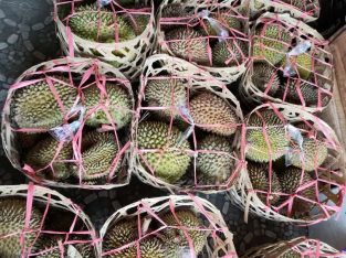 Jual Durian keranjang Sangat Murah