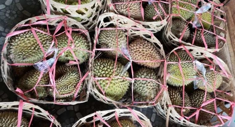 Jual Durian keranjang Sangat Murah