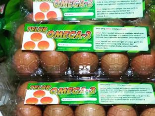 Jual Telur Omega-3 (grosir/eceran)