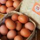 Jual telur herbal bebas antibiotik
