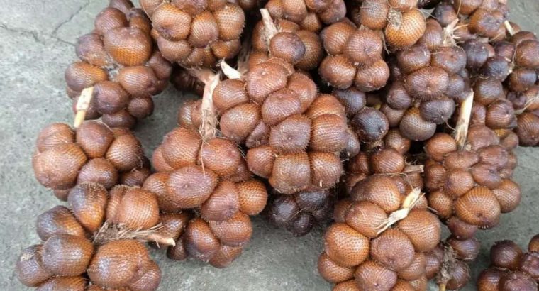 JUAL SALAK GULA PASIR