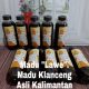 Jual Madu Klanceng Asli Kalimantan