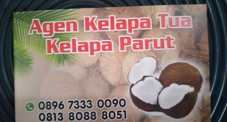 AGEN KELAPA PARUT