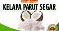 JUAL KELAPA PARUT SEGAR