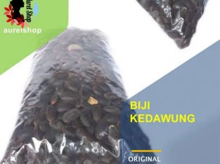 Jual Biji Kedaung 1 kg