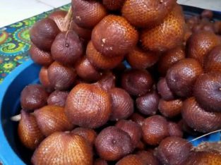 Jual Salak Gula Pasir Free Ongkir Denpasar Barat