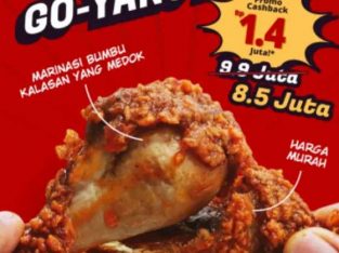 Paket Usaha Franchise Ayam fried chicken