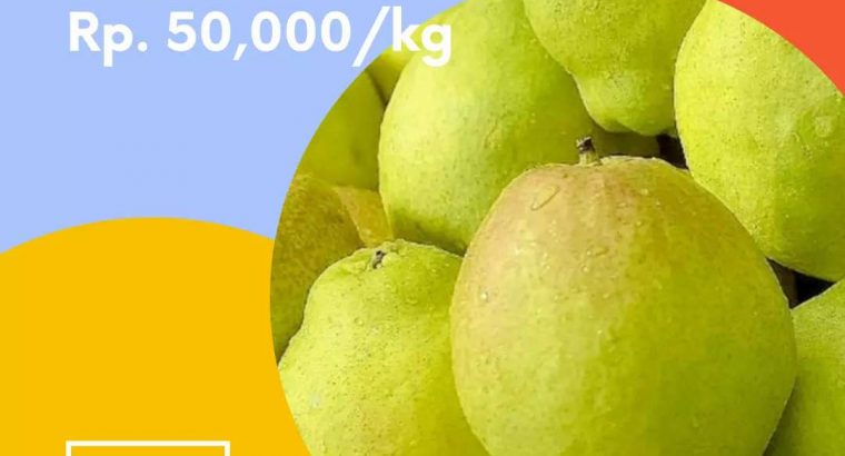 Jual Pear Xiang Lie Jumbo