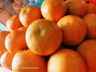 Jeruk Mandarin Kinnow isi 60/90/100 buah