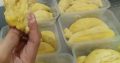 Jual Durian Montong Palu Parigi Premium