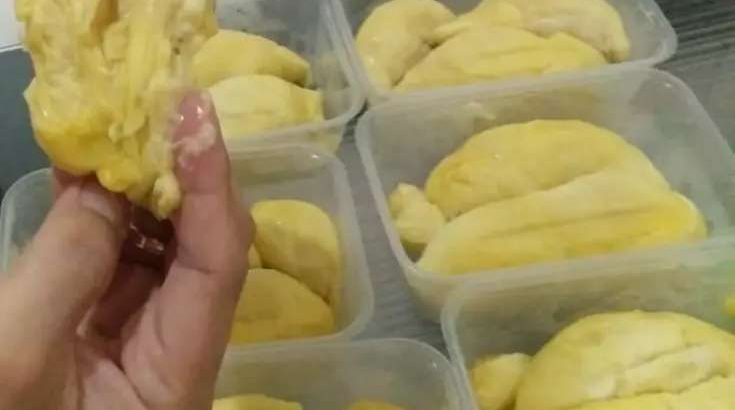 Jual Durian Montong Palu Parigi Premium