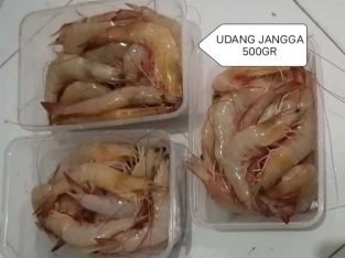 Jual udang Jangga