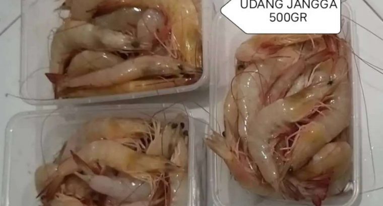 Jual udang Jangga