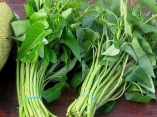 Jual Kangkung lombok