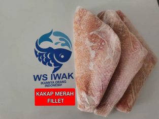 Jual Kakap merah fillet