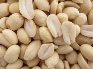 Kacang Tanah Kupas Ari Mentah
